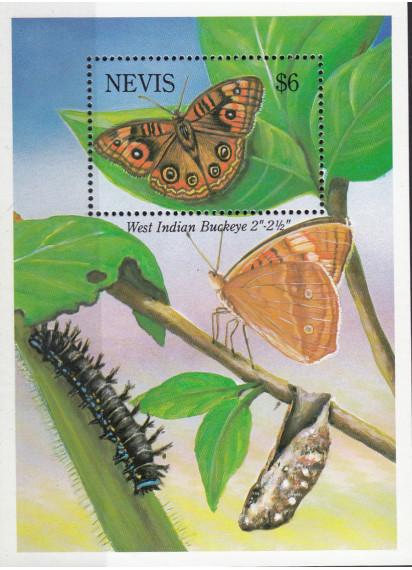 NEVIS 2000 Foglietto Farfalle e Bruchi